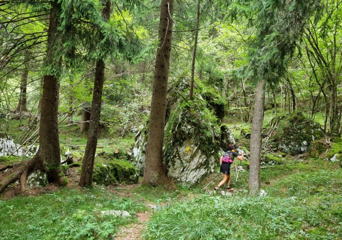 La bellezza solenne dell’arco del Pegherolo