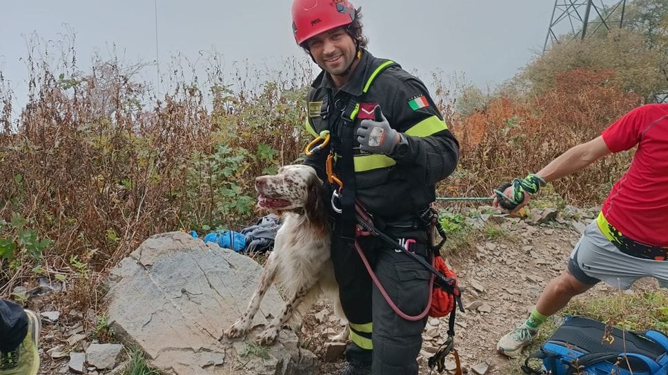 Cane precipita dal sentiero nella zona del rifugio Curò: salvato dai vigili del fuoco