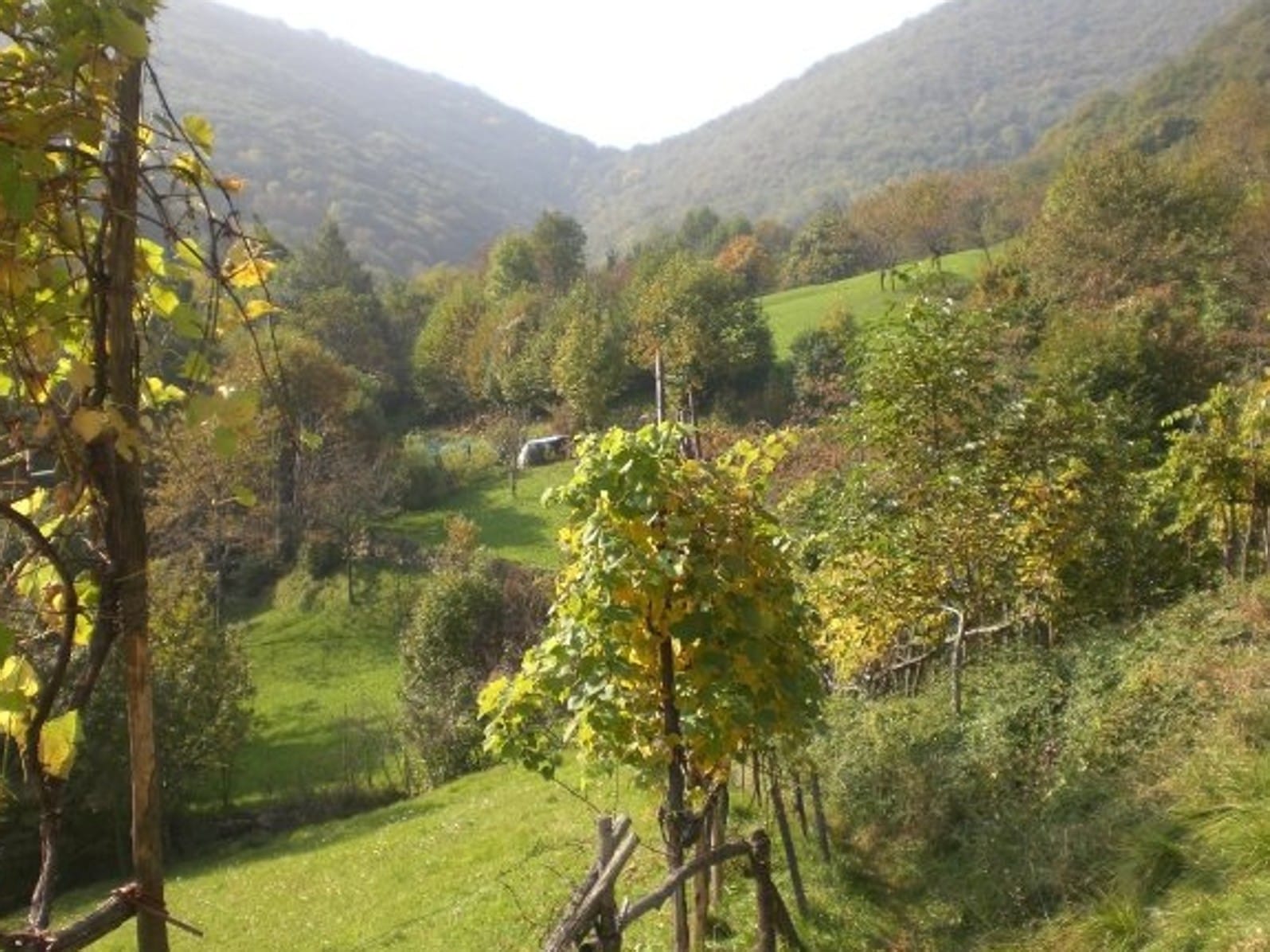 Dove andare a raccogliere castagne in Bergamasca 