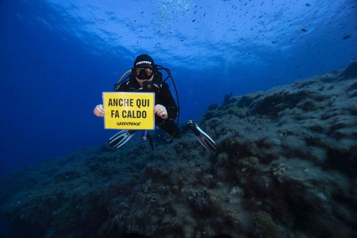 Greenpeace, mare più caldo di 1 grado questa estate rispetto al 2025