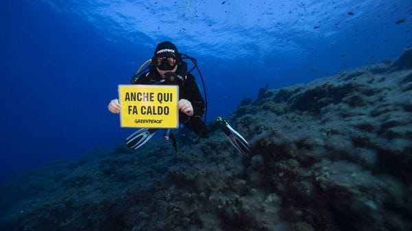 Greenpeace, mare più caldo di 1 grado questa estate rispetto al 2025