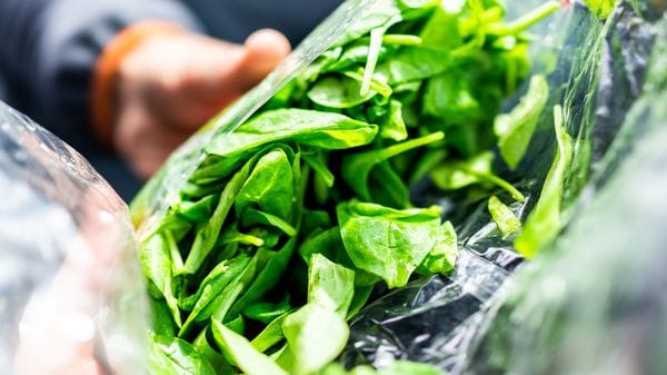Insalate in busta a rischio: «Il caldo ha colpito le rese. La Gdo riveda i prezzi» 