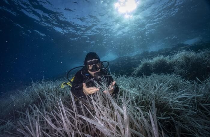 Sei nuove aree marine protette, l'Italia arriva al 31% dei mari tutelato