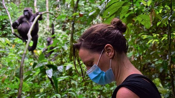 «Ti guardano come se fossi parte della foresta»: Shelly Masi e una vita tra i gorilla
