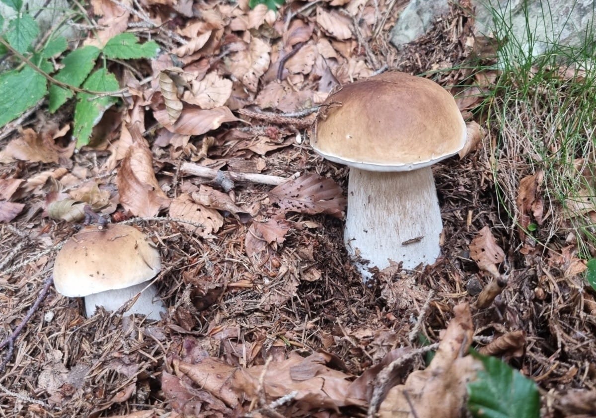 Un’altra via per il Benigni, nel cuore della Val Pianella