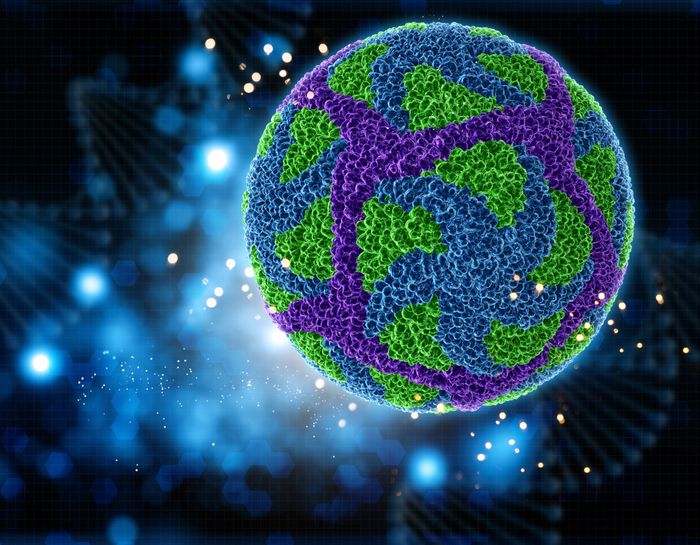 Nanopostini consegnano farmaci contro le malattie del fegato