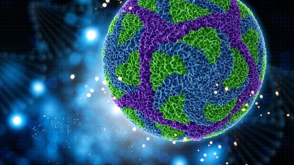 Nanopostini consegnano farmaci contro le malattie del fegato