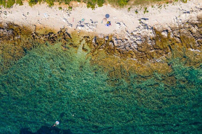Dai suoni sottomarini il 'battito' che rivela la salute del mare 