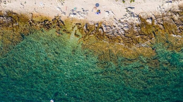 Dai suoni sottomarini il 'battito' che rivela la salute del mare 