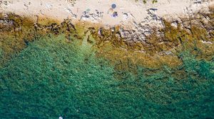 Dai suoni sottomarini il 'battito' che rivela la salute del mare 