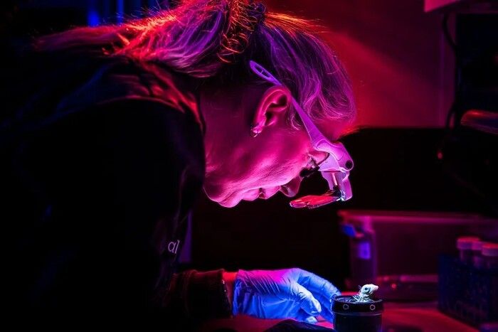 Dall'uovo artificiale al chip più piccolo, le 300 invenzioni del 2026 