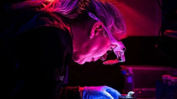 Dall'uovo artificiale al chip più piccolo, le 300 invenzioni del 2026 