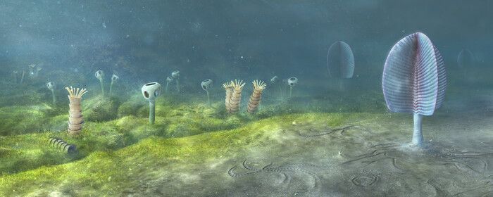 Gli animali sono comparsi sulla Terra prima del previsto