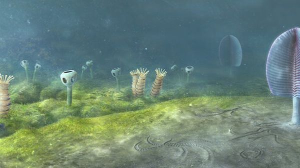 Gli animali sono comparsi sulla Terra prima del previsto