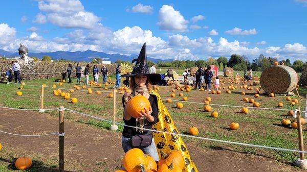 Halloween a Bonate Sopra, tante proposte al campo di zucche di Tulipania