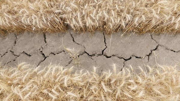 Mozione Usa crea stallo di documenti alla Wmo, l'agenzia Onu per il clima