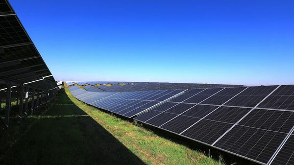 Elettricità Futura, molto preoccupati sulla manovra, investimenti a rischio