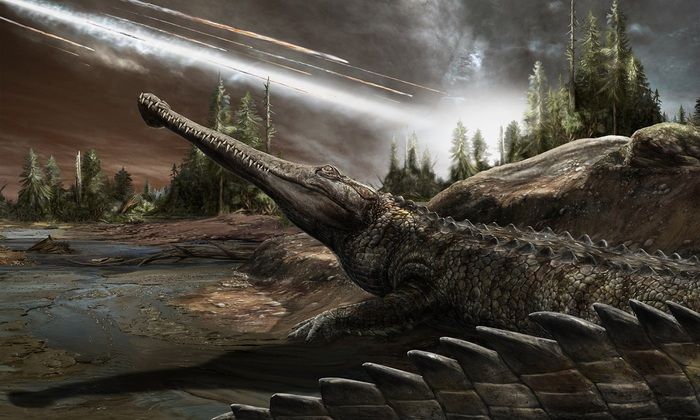 I coccodrilli sopravvissuti ai dinosauri inseguendo il caldo