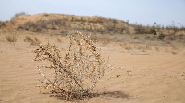 Tre italiani su 4 chiedono più impegno sulla crisi climatica