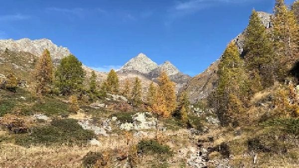 Terre alte, Carona, una «giovane» energia al rifugio Calvi