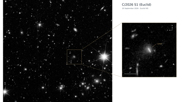 A sorpresa, il telescopio spaziale europeo Euclid scopre la sua prima cometa