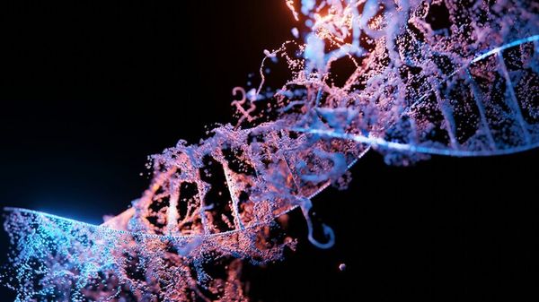 Il destino non è scritto nel Dna, ma in un mix di fattori 