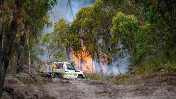 Rapporto, gli incendi costeranno all'Australia 6 miliardi di dollari l'anno