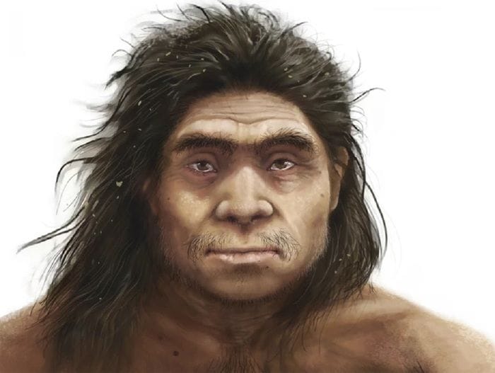 Fronte bassa e zigomi piatti, ecco il volto dei nostri antichi 'cugini' 