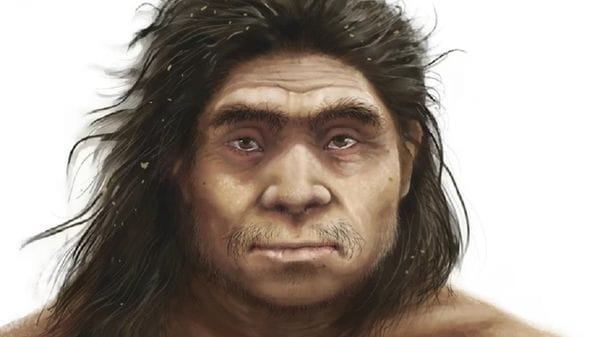 Fronte bassa e zigomi piatti, ecco il volto dei nostri antichi 'cugini' 