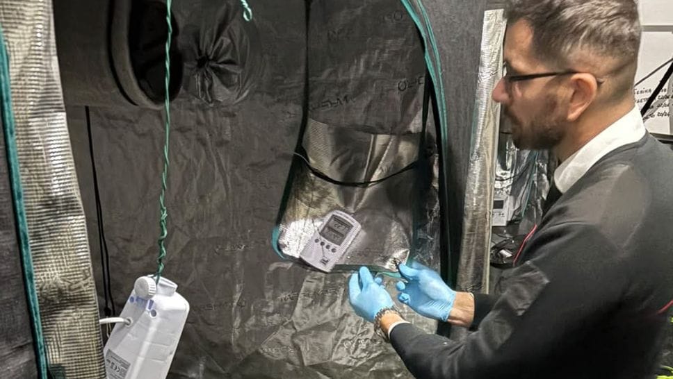 In casa 11,8 chili di marijuana, nei guai 51enne