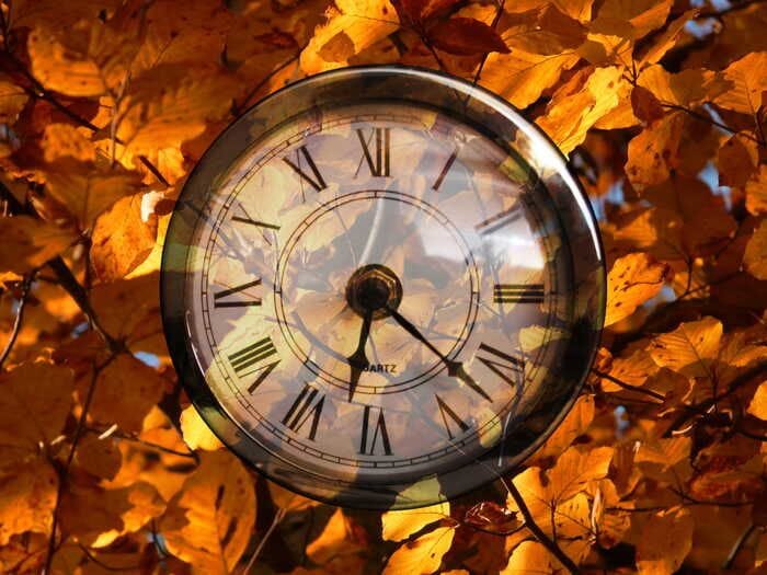 Orologi molecolari scandiscono il ritmo dell'invecchiamento 
