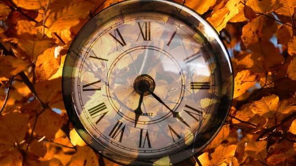 Orologi molecolari scandiscono il ritmo dell'invecchiamento 