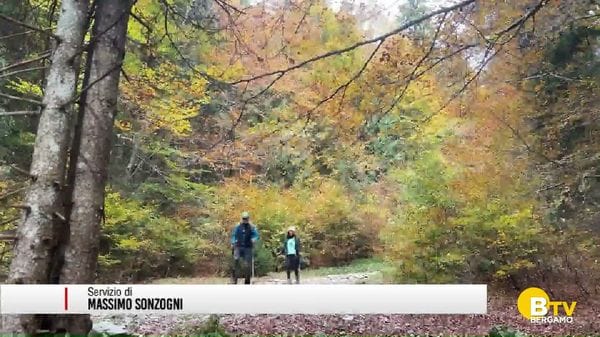 Il fascino dell'autunno in montagna, tra foliage e prima neve