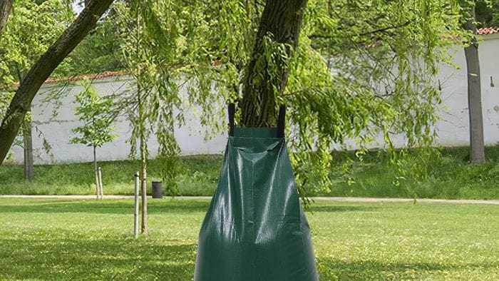 bergamo oltre 400 nuovi alberi nei quartieri cure garantite per tre anni da Ecodibergamo.it bergamo oltre 400 nuovi alberi nei quartieri cure garantite per tre anni
