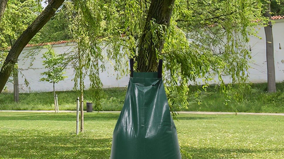 Bergamo, oltre 400 nuovi alberi nei quartieri: cure garantite per tre anni