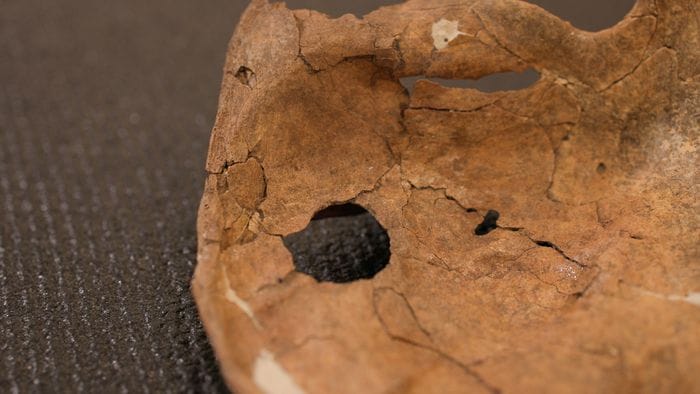 Su un Neanderthal una delle più antiche prove di un attacco letale