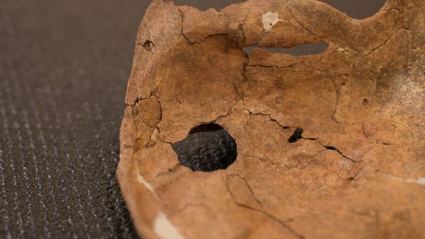 Su un Neanderthal una delle più antiche prove di un attacco letale