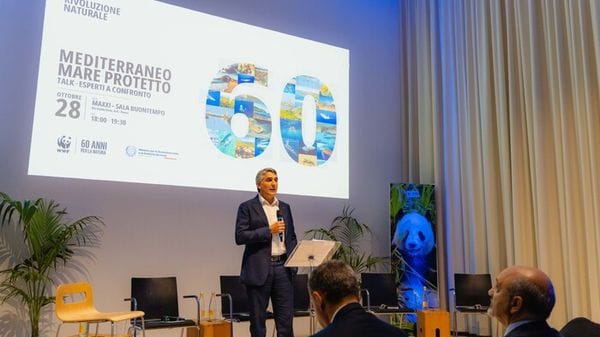 Wwf-Luiss, lo stretto di Sicilia è strategico per l'Italia e il Mediterraneo