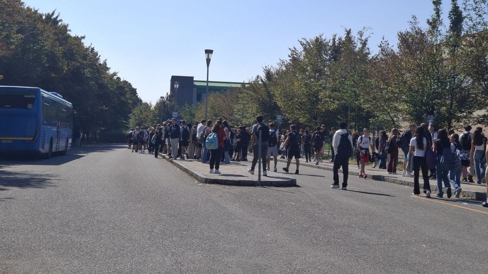 Scuole superiori, in Bergamasca nel 2027 arrivano gli indirizzi in logistica e caseario