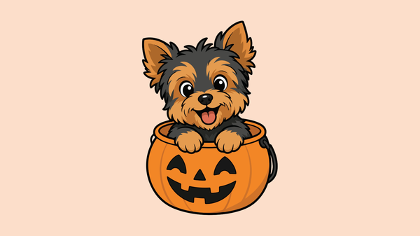 Guida agli eventi del weekend (30 ottobre – 1 novembre)