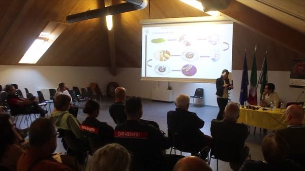 Castagna balestrera, uno studio per tutelarla