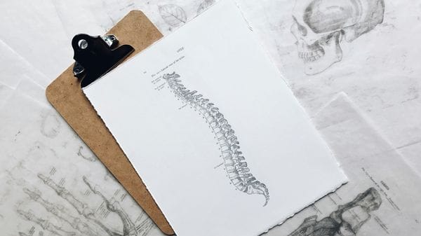 Mal di schiena? Dai chiropratici check up gratuito della colonna