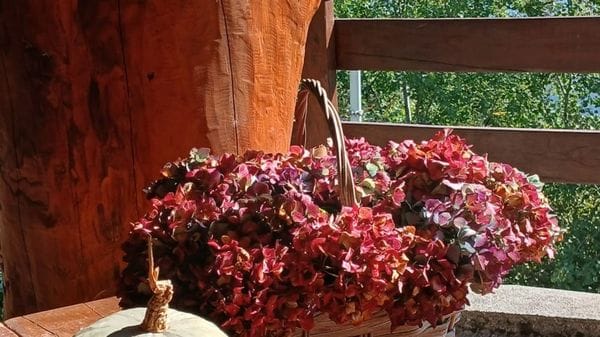 I colori d’autunno