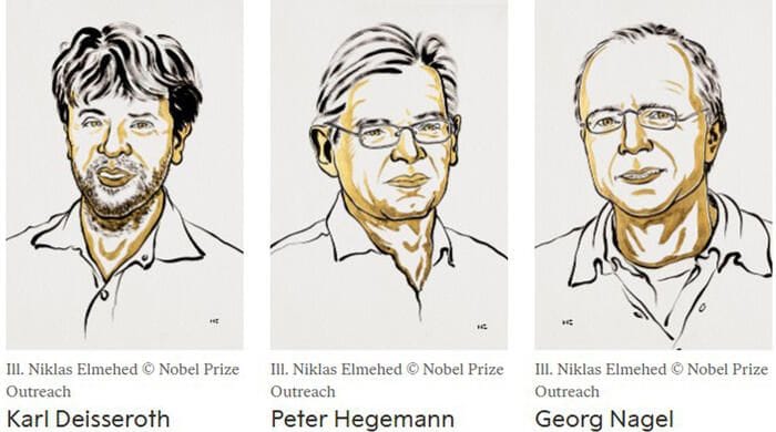 Chi sono i vincitori del Nobel per la Medicina