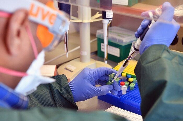 Peste in Siberia, le 3 risposte che potranno fare chiarezza