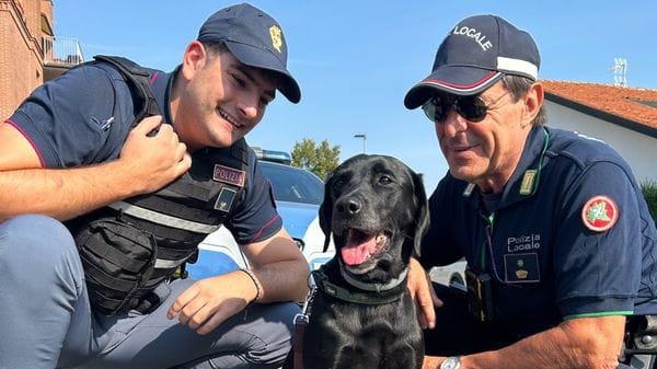 Treviglio, controlli vicino alle scuole con il cane antidroga Athena