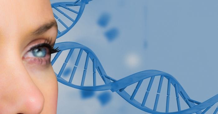 Dall'optogenetica i primi risultati su una malattia della retina 