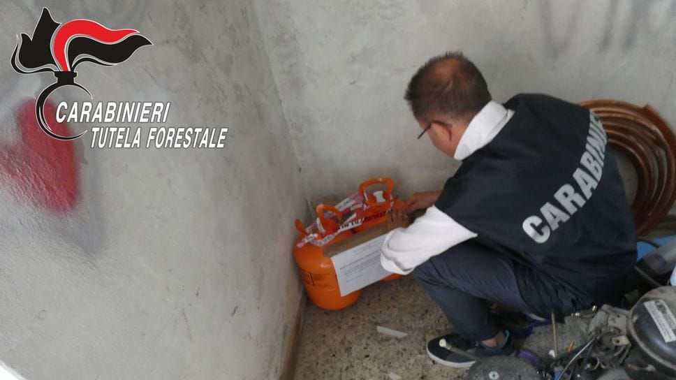 Gas refrigeranti, i controlli dei carabinieri in provincia di Bergamo: tre sanzioni