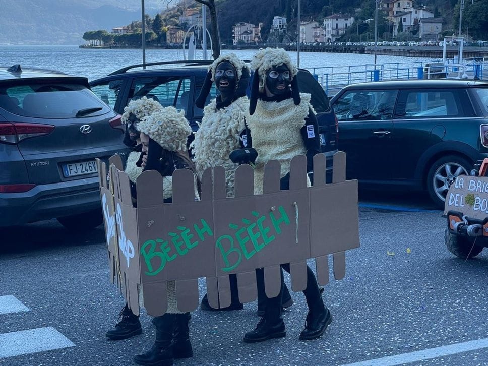 Il gruppo delle pecorelle