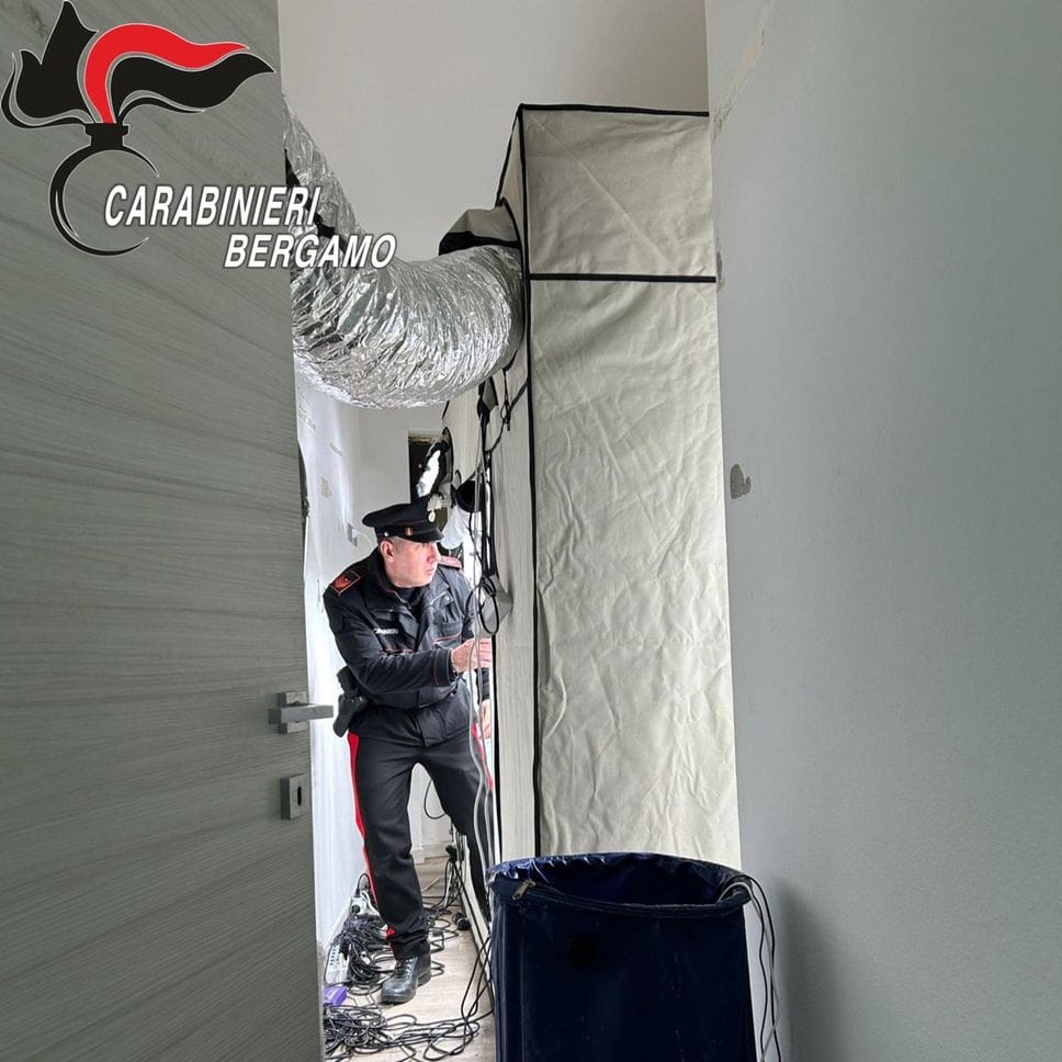 Il sofisticato impianto di coltivazione all’interno dell’appartamento di Castelli Calepio